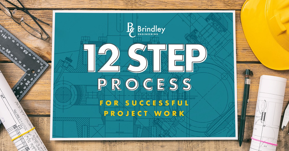 12 Step Process for successful project work